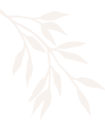 Juliet Bridal Studio