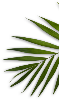 Juliet Bridal Studio